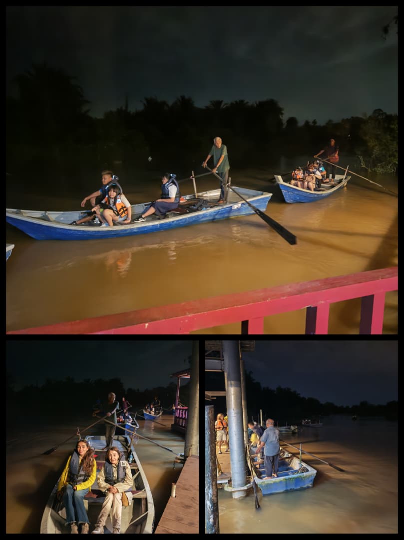 Kuala Selangor Fireflies